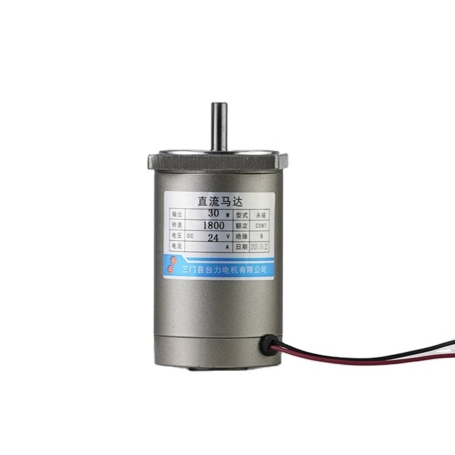 Taili 60mm 30w 6v 12v 24v 36v 48v 100v 200v 220v Permenant Magnet Brushed DC Gear Motor