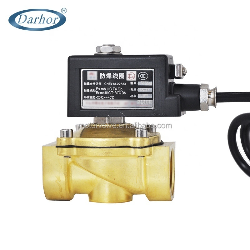 1/4 ExdllB T4 Explosion- proof solenoid valve 24V 220V