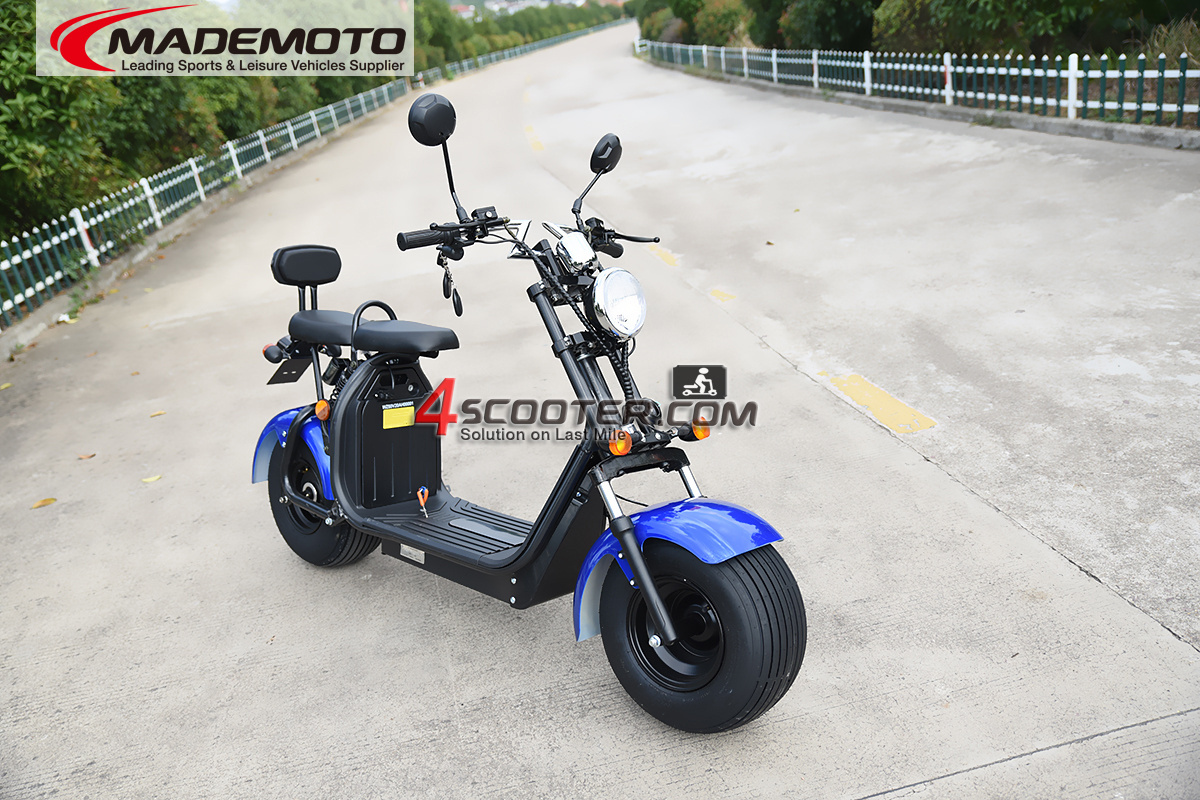 EEC APPROVED electric scooter with removable battery citycoco for europe fat tire electric scooter