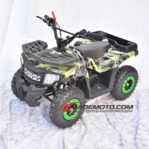 Zhejiang Kids Mini Gas Powered 50cc 4 Wheeler 49CC 2 Stroke Gasoline ATV Quad Bike