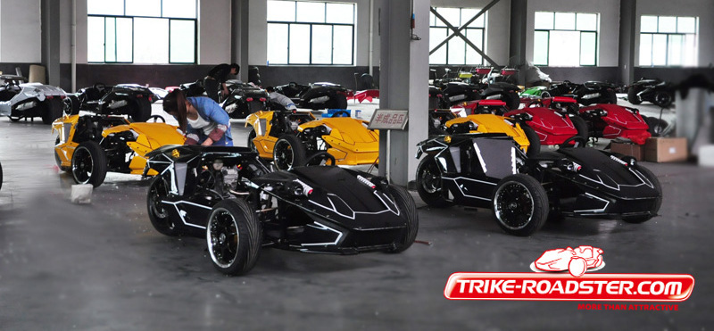 2016 New Style Cheap ZTR Trike Roadster 250CC 300cc Zongshen Engine TR2501 on Sale