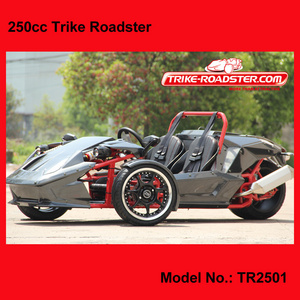 amphibious vehicles for sale /EEC 250cc Trike/Reverse Trike