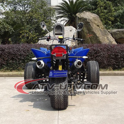 3 Wheels 250CC Trike ATV