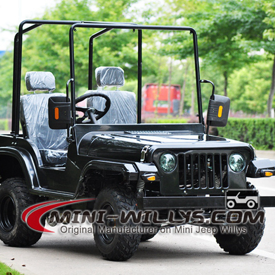 150cc Petrol Gasoline Willys ATV Mini Buggy for Sale