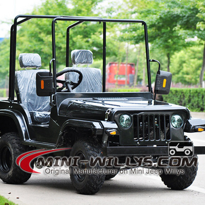 150cc Petrol Gasoline Willys ATV Mini Buggy for Sale