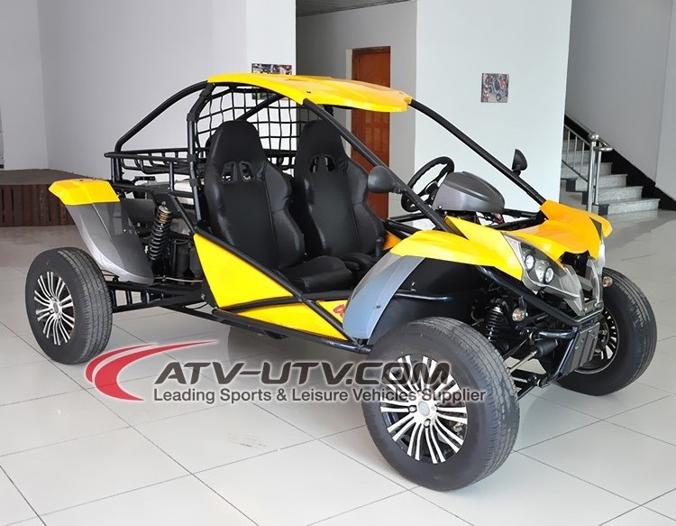 gas power go kart with 1000cc engine