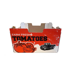 Wholesale Factory tomatoes packaging box heavy duty cardboard corrugated recyclable tomato packing carton boxes