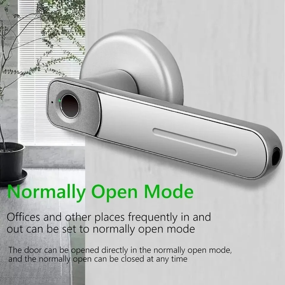 Fingerprint Door Lock Handle USB Rechargeable Anti Theft Smart Electric Biometric Keyless Security Entry With 2 Keys Smart Home