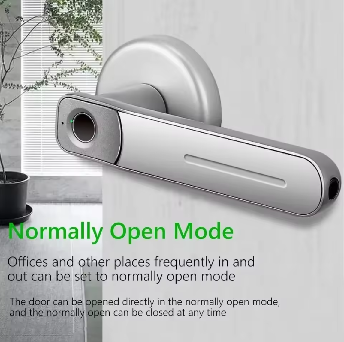 Electronic Digital Security Fingerprint Door Handle Lock Fingerprint Keyless Smart Lock With 2 Keys Biometric Gun Safe Lock