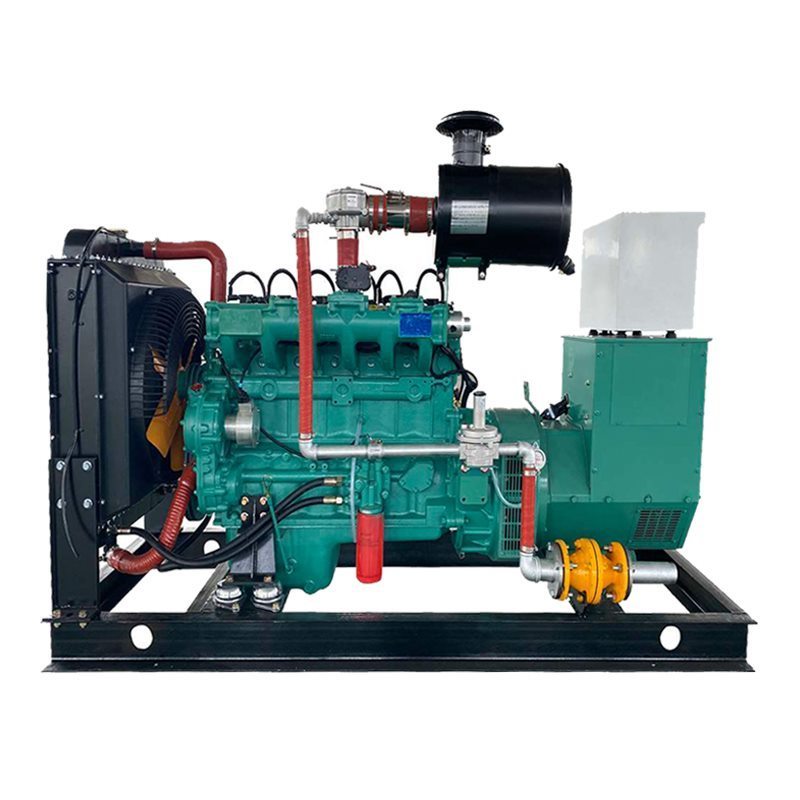 methane biogas CNG Power 20kw 50kva 250kw Genset Plant Coal Natural Gas Generator 100kw