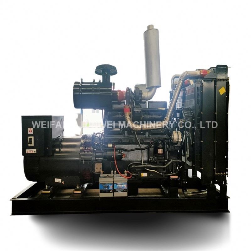 10KW Diesel Generator PR Power 3 Phase Engine Small Silent Natural Gas Power Two Cylinder 12KVA for Sale