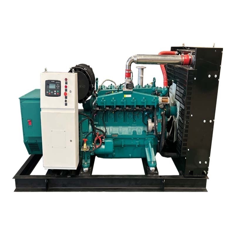 methane biogas CNG Power 20kw 50kva 250kw Genset Plant Coal Natural Gas Generator 100kw