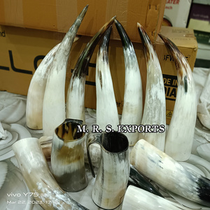 Top Quality 100% Authentic Polished 16-20" Inch Ox/Cow Horns Viking Drinking Horns At Cheap Prices By M. R. S. EXPORTS