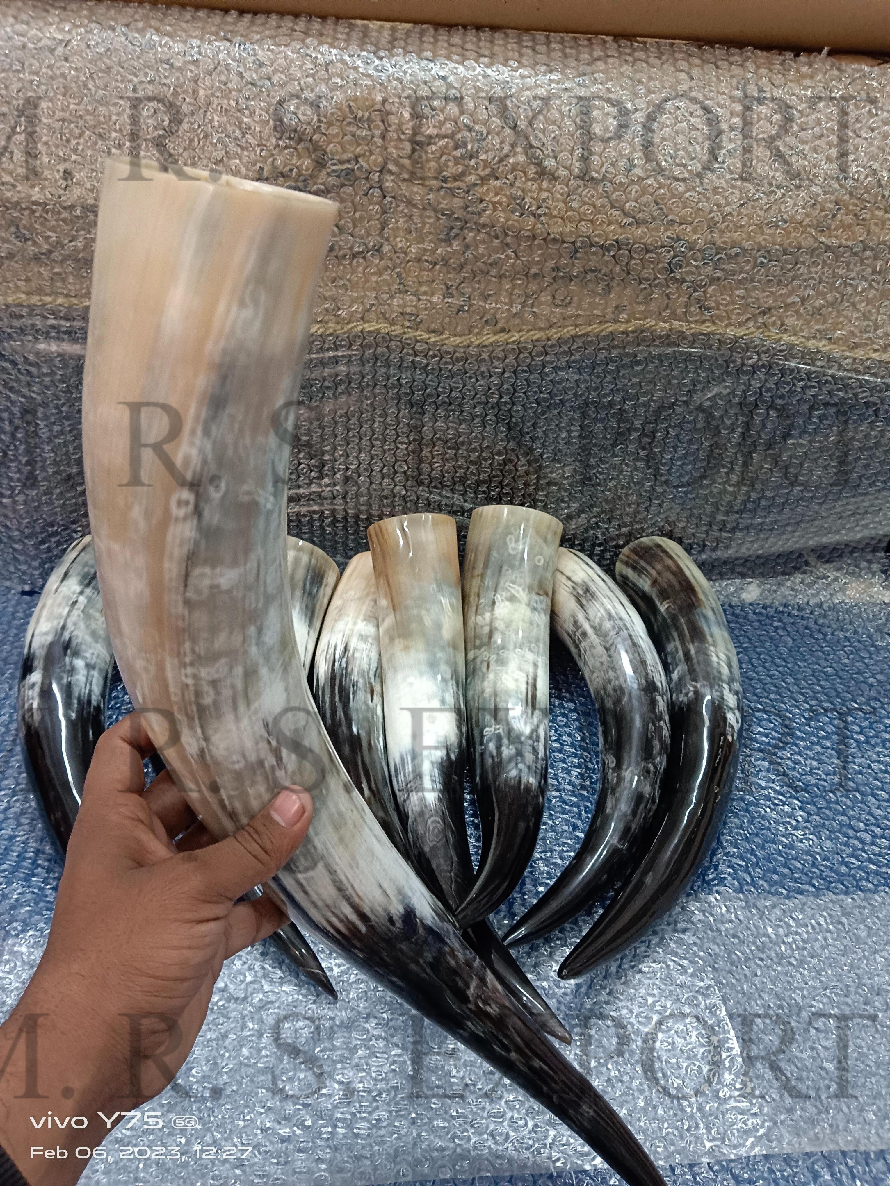 100% Natural Finished Ox Horns Viking Drinking Horn Food Safe For Drinking Use At Very Low Price By Indian Manufacturing Company