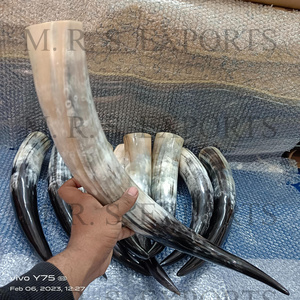 100% Natural Finished Ox Horns Viking Drinking Horn Food Safe For Drinking Use At Very Low Price By Indian Manufacturing Company