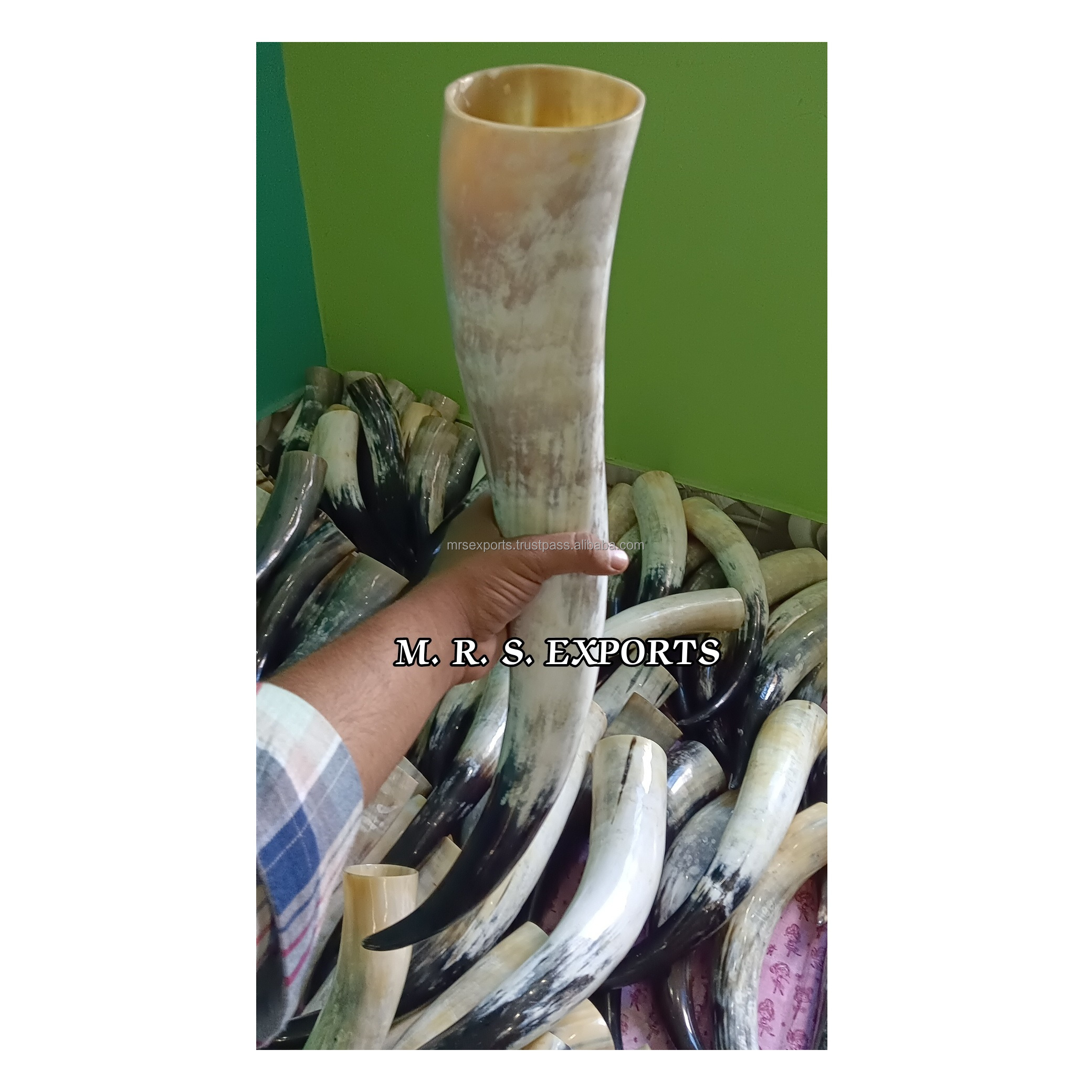 Polished Cow Viking Drinking horn Drinking horn High Quality Natural viking drinking Horn By M. R. S. EXPORTS