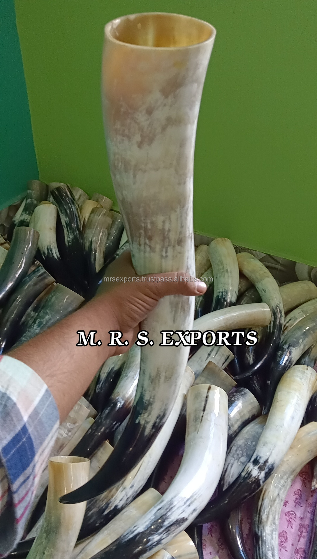 Polished Cow Viking Drinking horn Drinking horn High Quality Natural viking drinking Horn By M. R. S. EXPORTS