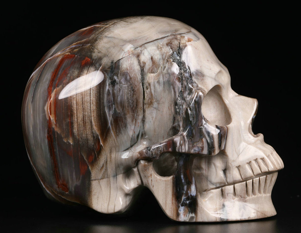 High Quality 5.0 inch Petrified Wood Crystal Skulls Natural Gemstone Hand-carved Skulls Crystal Crafts for home decoration