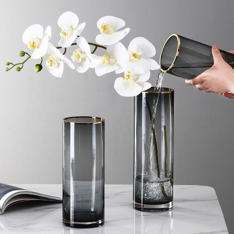 Nordic Vase Simple Style Golden Mouth Cylinder Flower Vases Gray Glass Floreros Negros Hydroponics Long Vases For Home Decor