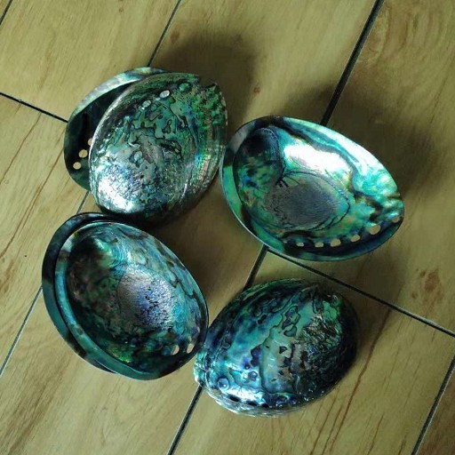 2018 best price New Zealand polished paua abalone shell in stock