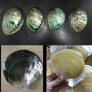 Factory Natural Sea Shell Polished Yellow Black Mother Of Pearl Shell Abalone shell