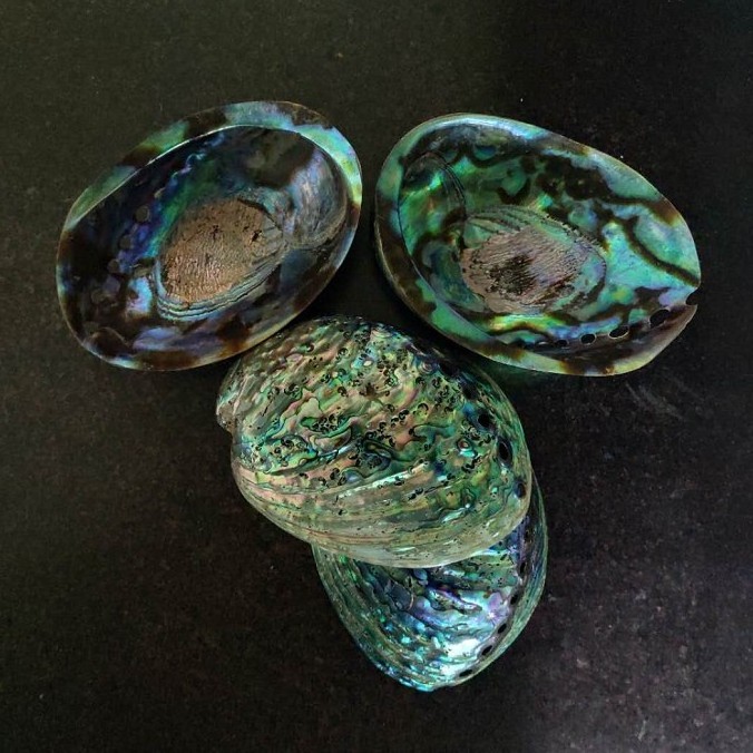 Factory directly sales big green abalone shell polished in stock with good price