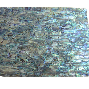 2A Grade Paua Shell Laminate, Paua Shell Veneer Jewelry From New Zealand Abalone Shell