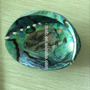 Polished Abalone Paua Shells For Sale