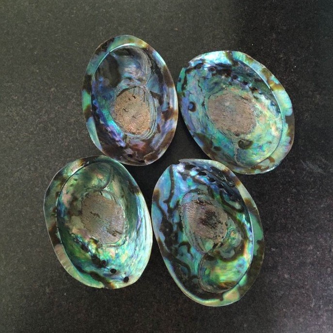 Factory directly sales big green abalone shell polished in stock with good price