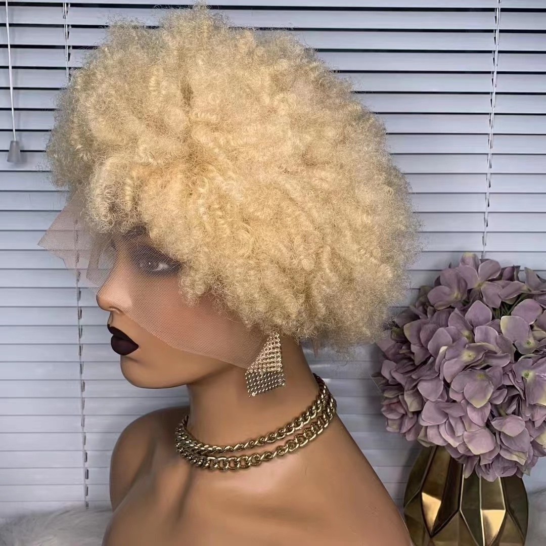 Cheap Short  Wig Human Hair Lace Front Brazilian Hair Extension Wig Afro Kinky Curly Full Lace Human Hair Wig For Black Women