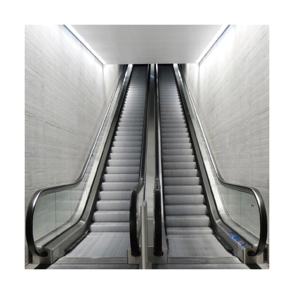 Made China Stainless Steel Plate Plastic Sprayed Mirror Etched Finish Outdoor Industrial Elevator Mall Escalators 1 Year