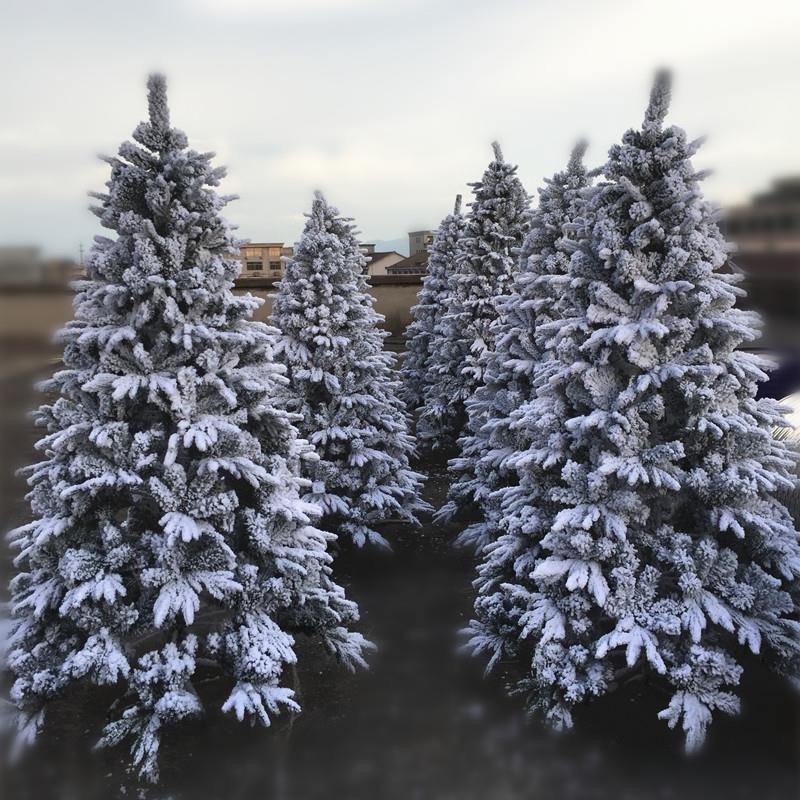 q24 Factory Price Snow Christmas Tree 1.8M 2M Flocked PE Flocked Snowflake Christmas Tree Christmas Ornaments