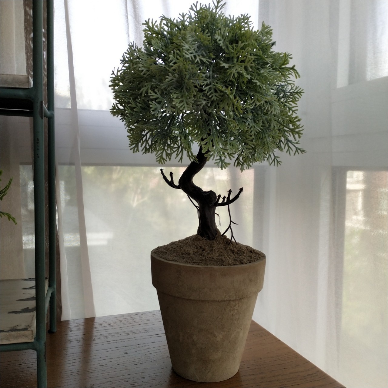 A015 Simulation Tree Root Rime Bonsai Home Living Room Table Sample Room Coffee Shop Decoration Simulation Plant Wholesale