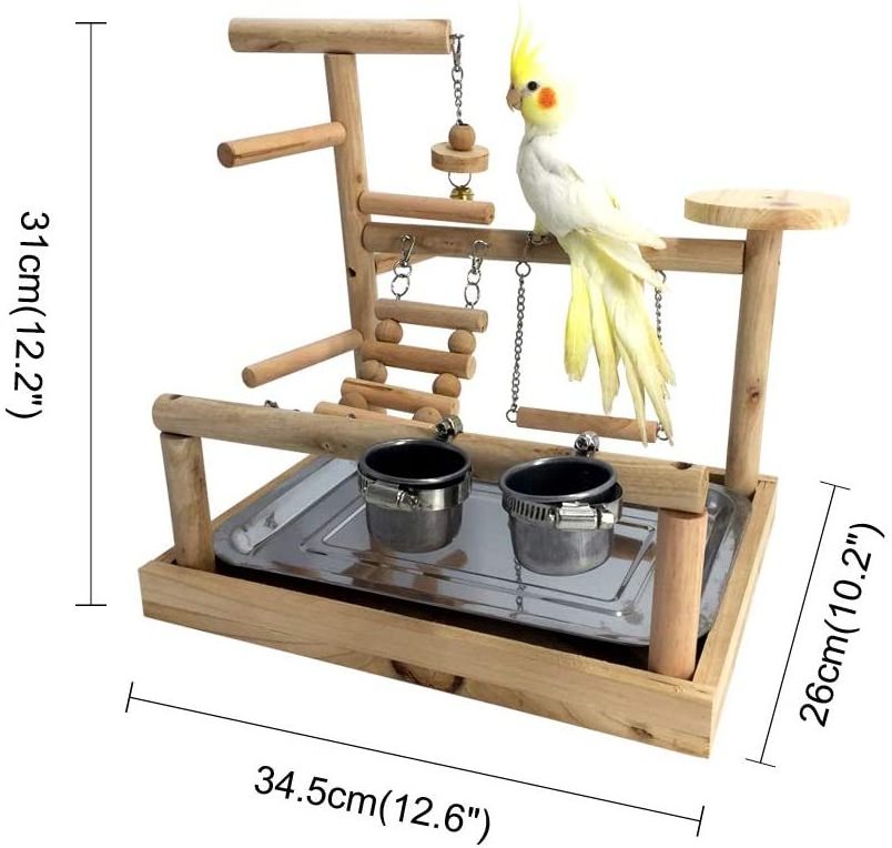 Wooden Parrots Bird Playground Cage For Squirrel Stand Ladders with Feeder Cups Dummy Training Accessories Toys