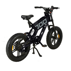 China Factory Black Color KUGOO T01 750W 48V Electric Bike Two Big Wheel 20inch Mountain Urban Electric Bicycle