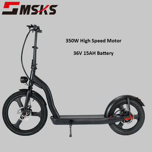 UKCA Certificate 20 Inch Big Wheel Folding Electric Scooters 350W Motor Bike Adult E Scooter for Adventure