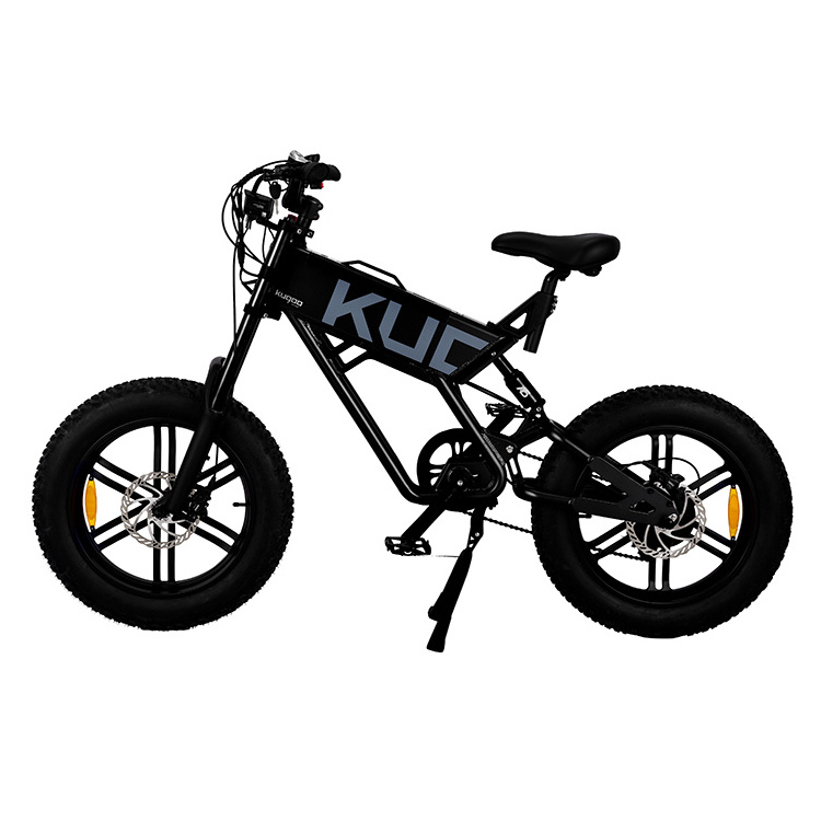 China Factory Black Color KUGOO T01 750W 48V Electric Bike Two Big Wheel 20inch Mountain Urban Electric Bicycle