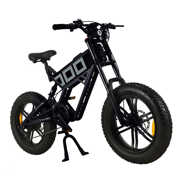 China Factory Black Color KUGOO T01 750W 48V Electric Bike Two Big Wheel 20inch Mountain Urban Electric Bicycle