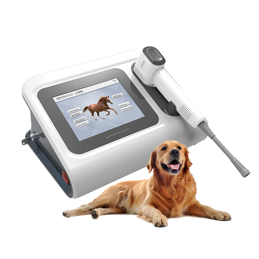 EGPETMED Brand Veterinary 960nm Laser Therapy Equipment Pain Relief for Cat Dog Pet Clinic