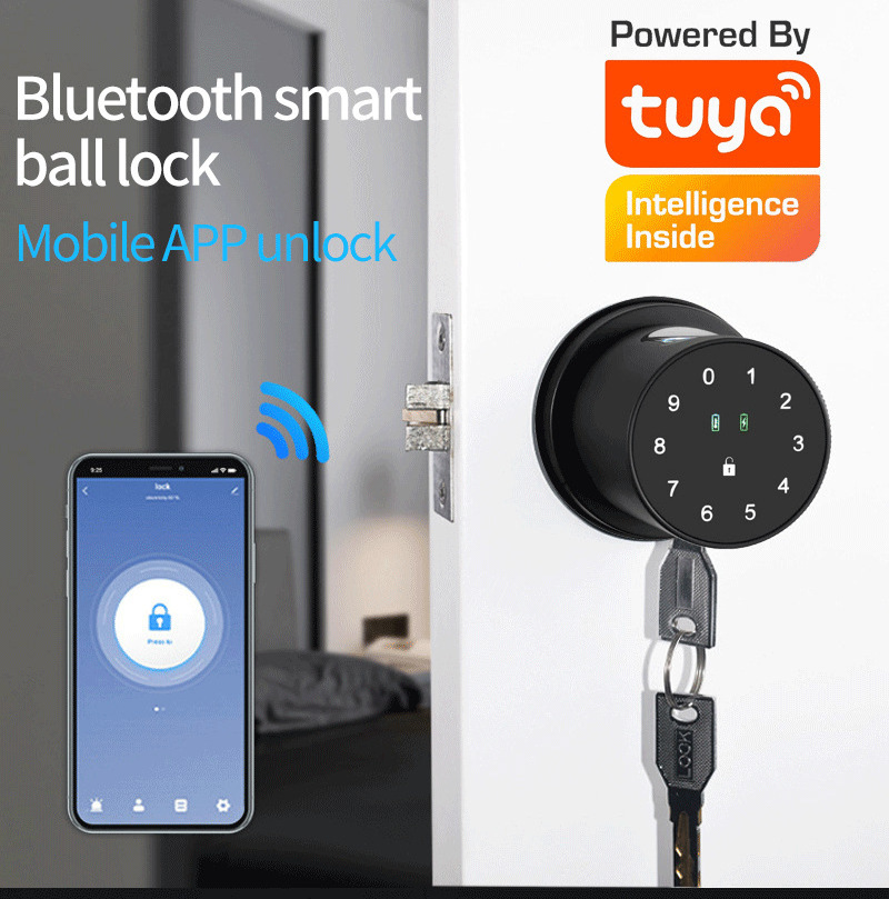 BBDHOME Indoor intelligent fingerprint spherical smart lock hotel apartment door lock fingerprint password smart door lock