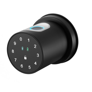 BBDHOME Indoor intelligent fingerprint spherical smart lock hotel apartment door lock fingerprint password smart door lock