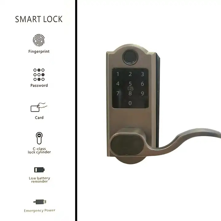 Hot Selling Fingerprint Lock Password Remote Smart Door Lock Electronic Digital Home Biometric Ttlock Smart Lock