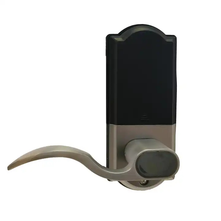 Hot Selling Fingerprint Lock Password Remote Smart Door Lock Electronic Digital Home Biometric Ttlock Smart Lock