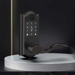 Hot Selling Fingerprint Lock Password Remote Smart Door Lock Electronic Digital Home Biometric Ttlock Smart Lock