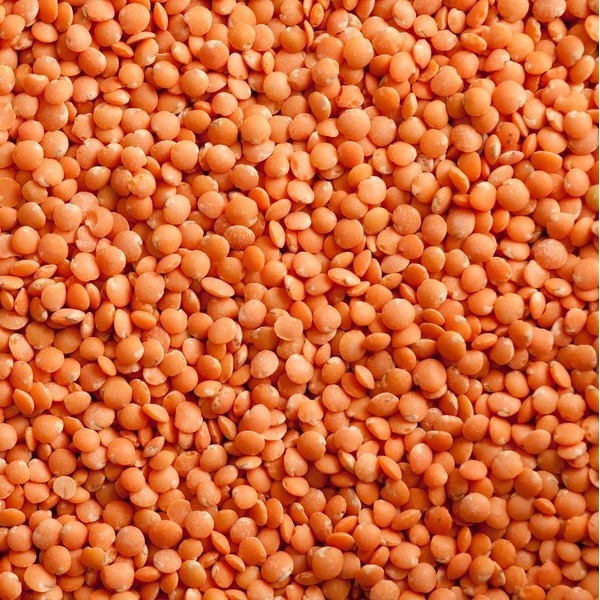 Red lentils at wholesale price Red Lentils, Green Lentils, Brown Lentils