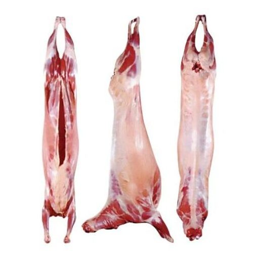 HALAL FROZEN LAMB WHOLE / GOAT MEAT / SHEEP / BONELESS GOAT / MUTTON