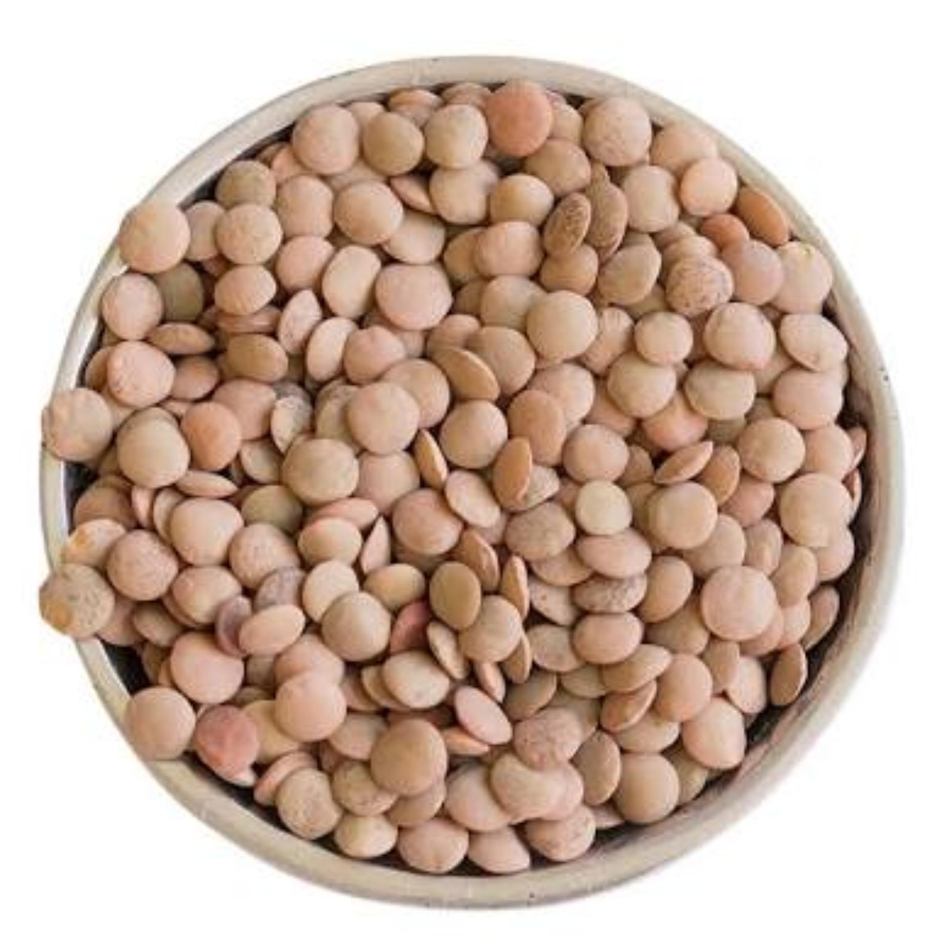 Red lentils at wholesale price Red Lentils, Green Lentils, Brown Lentils