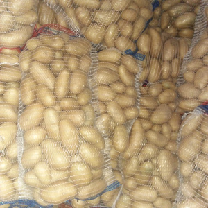 High Quality Fresh Potato From Pakistan White Potato / Red Potatoes