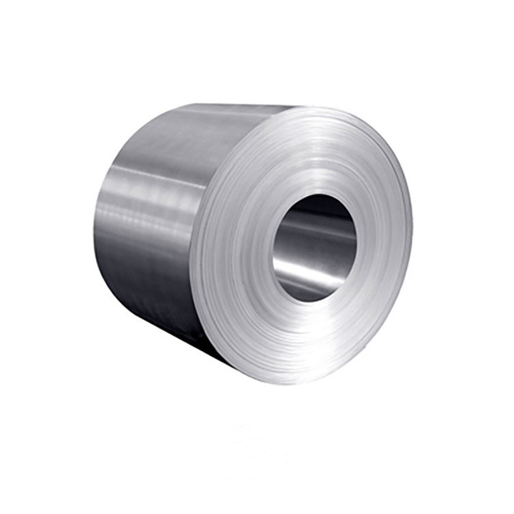 Professional SUS 304 304l Aisi 316 444 Astm Stainless Steel Roll/Coil