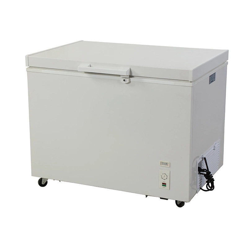 Supermarket Equipment Solid Door Chest Freezer for Food Energy-Saving Chest Commercial Freezer